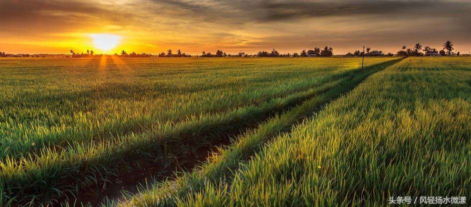 梅西如何过人教学,梅西颇具想象力的传球