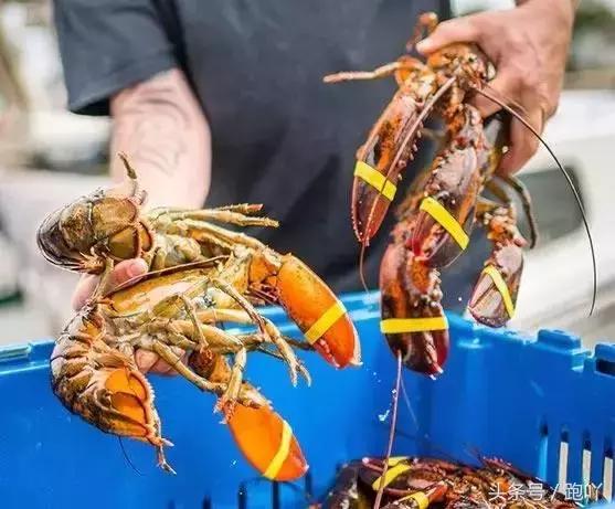 单次世界杯进球最多的国家,世界杯单场进球最多的国家