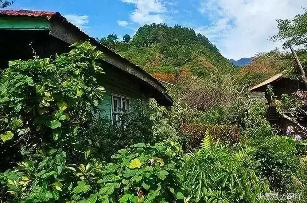 单次世界杯进球最多的国家,世界杯单场进球最多的国家