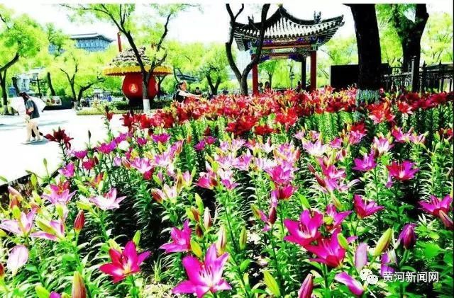 一波福利是什么意思,一波福利回馈新老客户