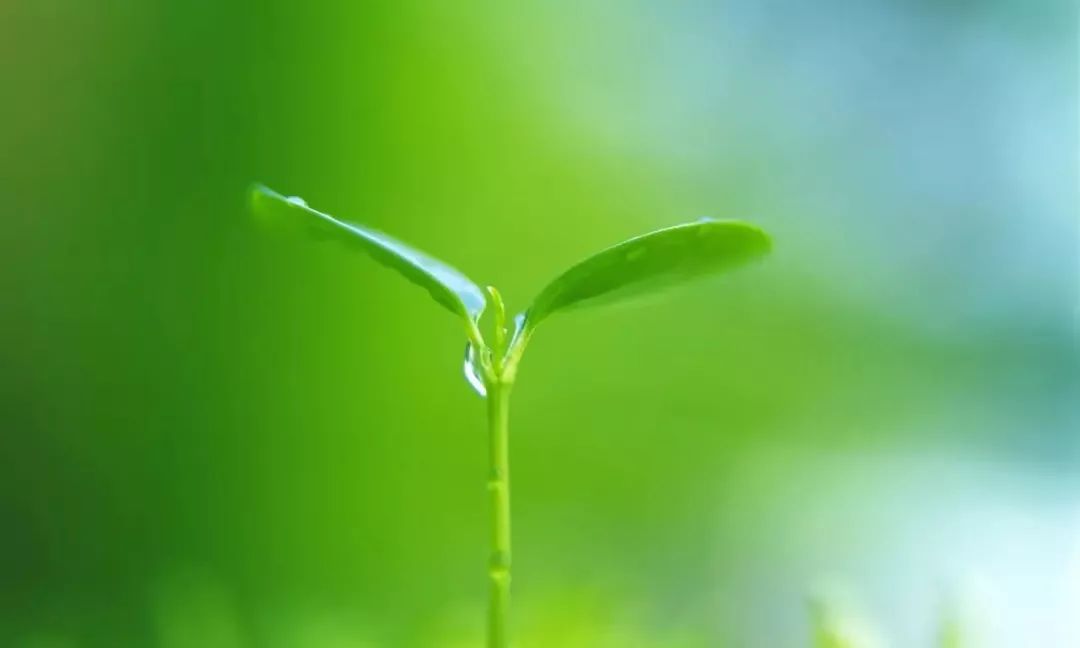 微信聊天护眼背景图高清大图,护眼背景图微信聊天背景