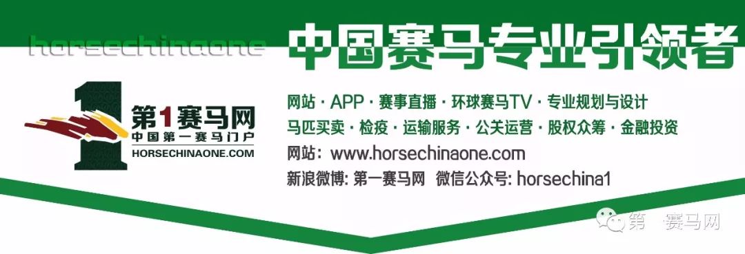 十余家马术俱乐部展开六个级别争夺，东北马术联赛第五站“跳”入辽宁省运会马术项目！
