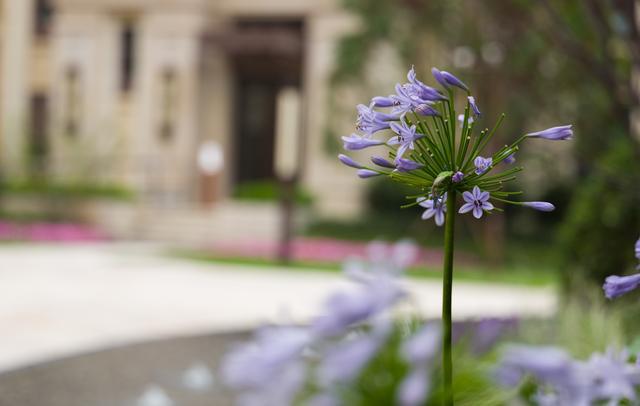 开启诗和远方,龙湖三千庭三居室