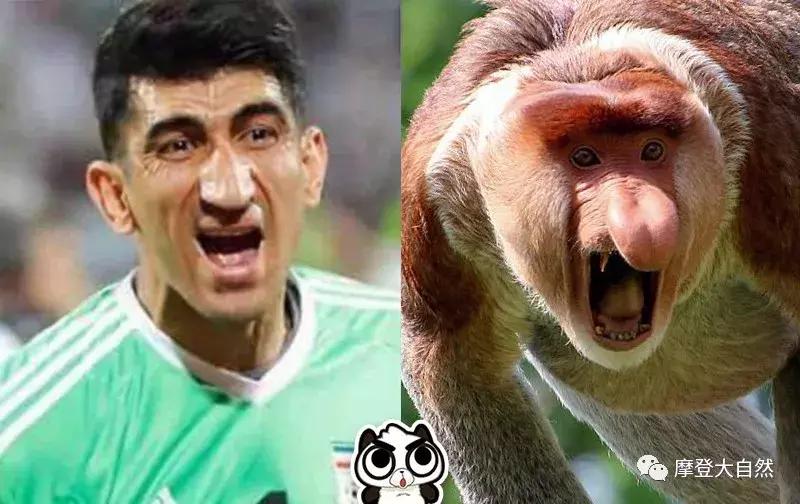 当c罗是什么体验,当c罗扮成流浪汉