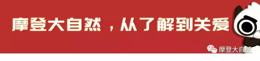当c罗是什么体验,当c罗扮成流浪汉