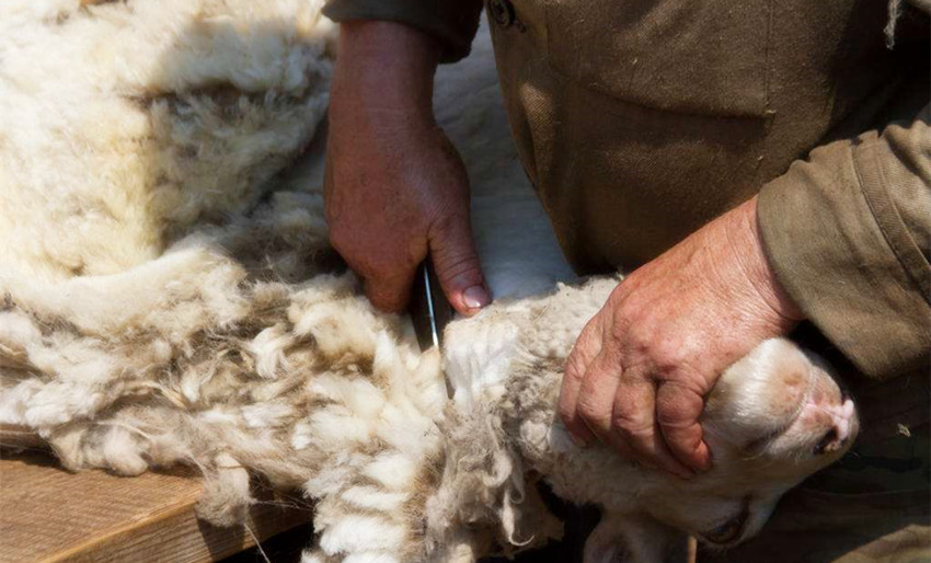 古代的冬天为何冷一些,古代因为寒冷冻死大批人