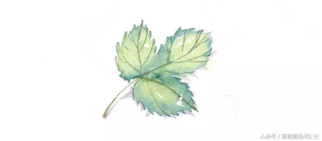 昌飞往事|激情燃烧的6月