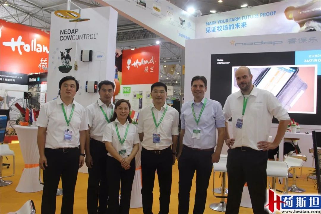 荷斯坦展览会,荷斯坦牛展