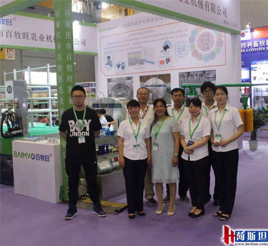 荷斯坦展览会,荷斯坦牛展