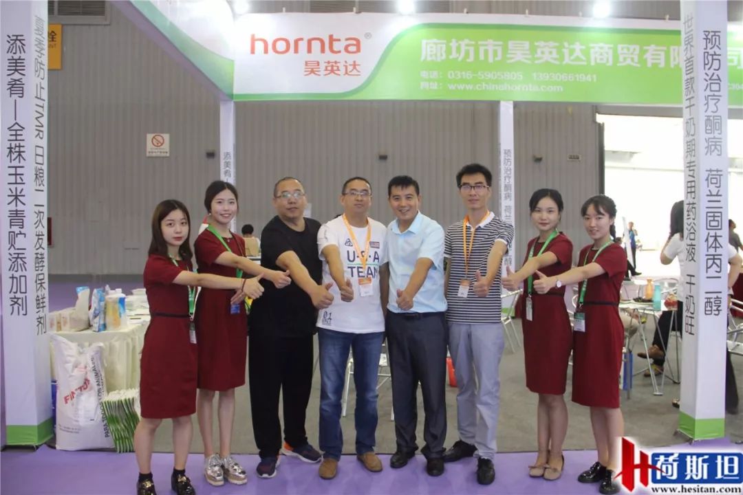 荷斯坦展览会,荷斯坦牛展