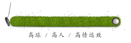 冰岛世界杯足球,冰岛男足球