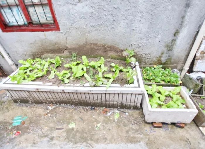 上海华美书局：广印译籍，归属迷离（下）韦力撰