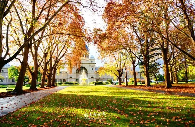 你不知道出国旅游先看攻略吗,出国旅游这些地方不要去