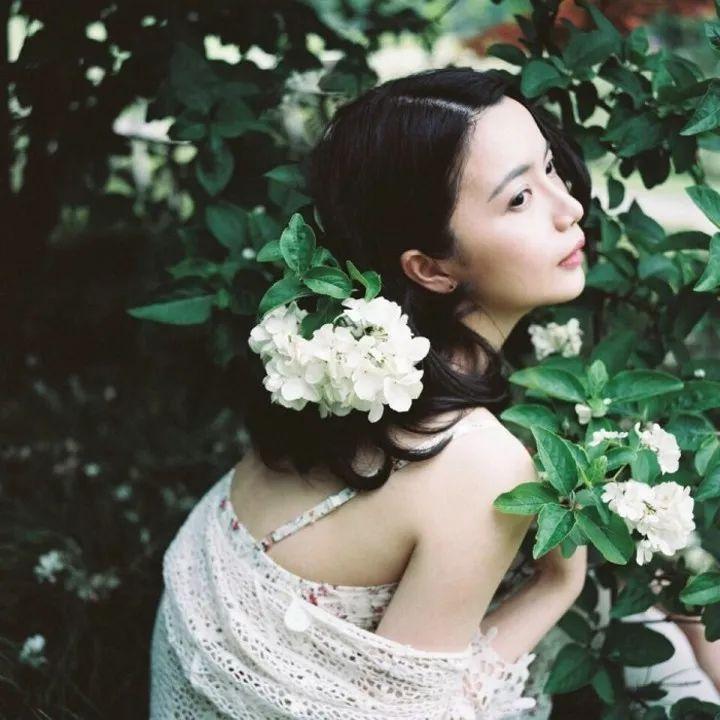 小说丁香花菩提树全文免费,小说丁香花结局