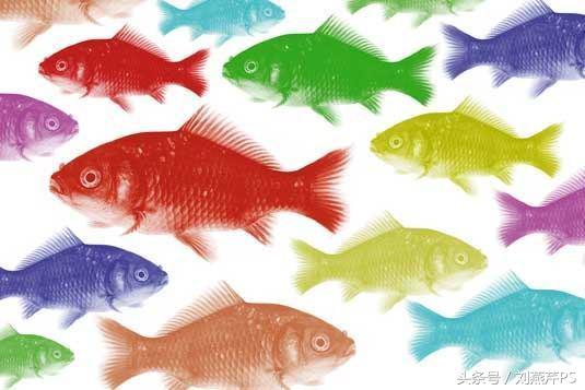 photoshop的100种技巧,photoshopcs新手入门教程视频