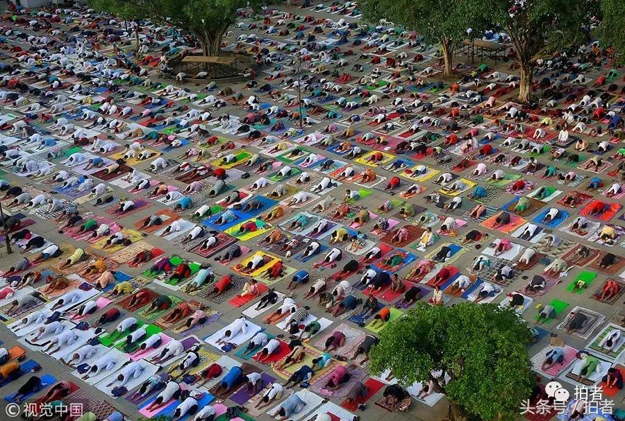 六月的视频片段,六月的惊奇瞬间