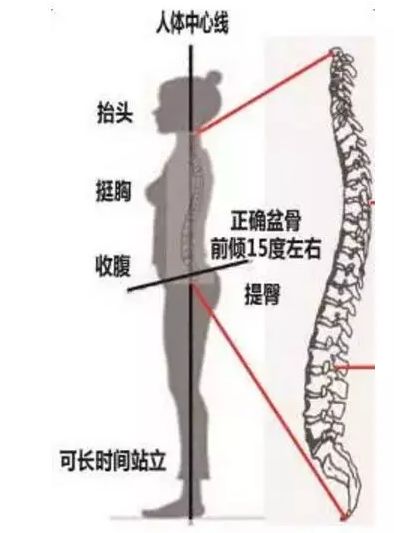 如何判断骨盆后倾还是骨盆前倾,骨盆前倾的日常原因