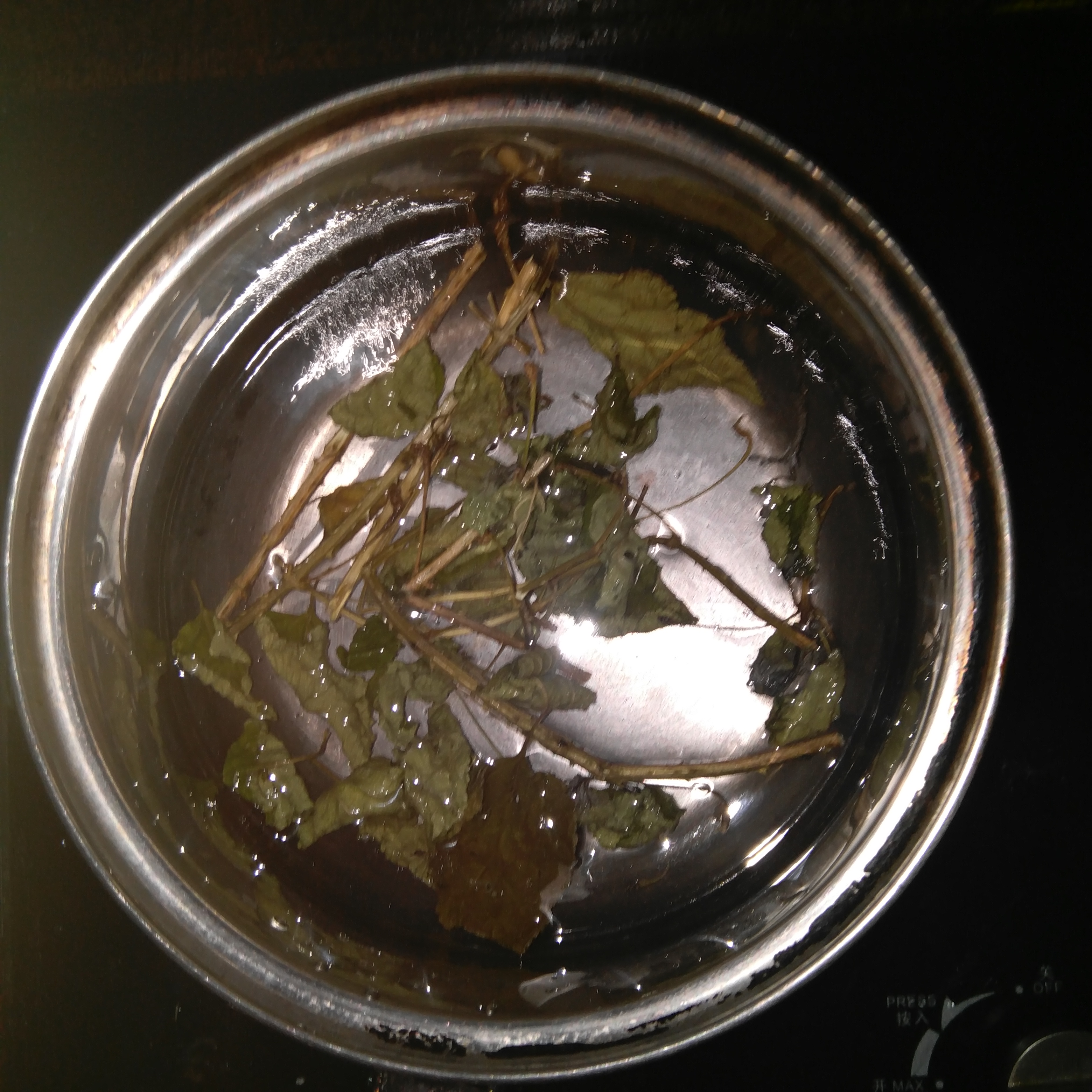 乌龟腐皮疥疮灵怎样用,乌龟治疗白眼腐甲