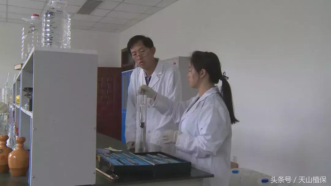 十师团场改革：富了职工活了企业