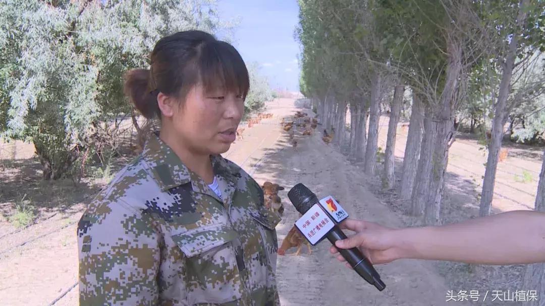 十师团场改革：富了职工活了企业