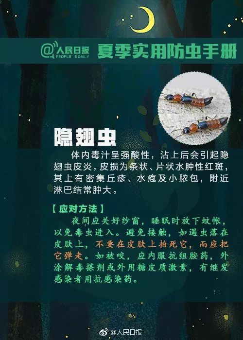 捉一只奖8元！广州全城“捉拿”的锥蝽，究竟是什么虫？