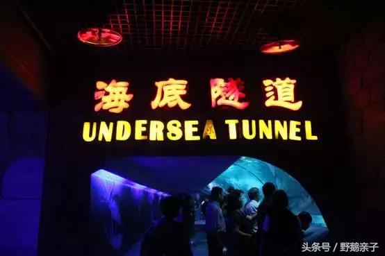 这个夏天去北京旅游好玩吗,夏天适合去的海底世界