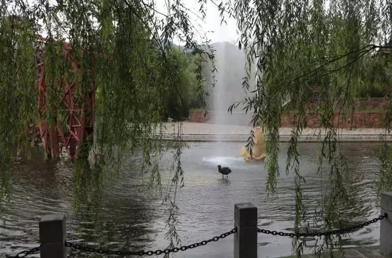 这个令人神往的美丽的地方,鹿泉最惊艳的地方