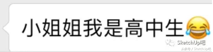 sketchup使用技巧大全,sketchup常见的操作问题