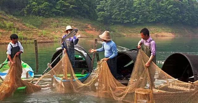 这竟然是农村！中国最美乡村Top10，有你家乡吗？