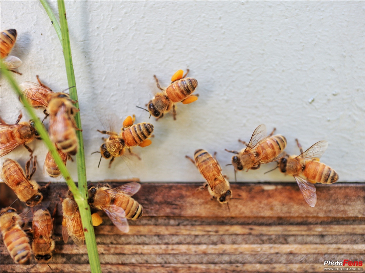 佳能微单eosm100怎么样,佳能eosm10相机评测