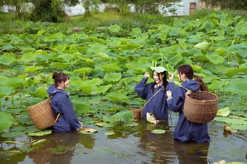 安徽卫视综艺节目蜜食记,蜜食记安徽卫视