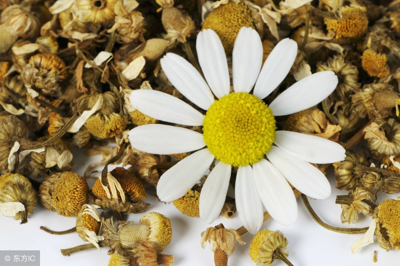 纯植物护肤品有什么好处,植物成分脱敏护肤品