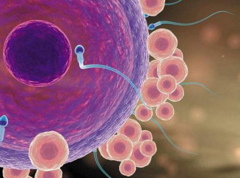 孙老师备孕视频教程,孙老师备孕系列课