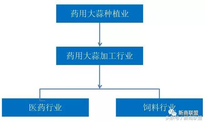 塞尔维亚人口,塞外独行侠