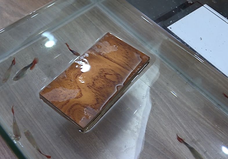 纯实木番龙眼木地板价格,厂家直销番龙眼实木地板