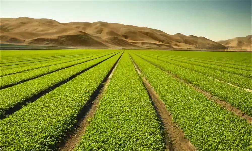 阿里巴巴1.1亿元投资食品特卖平台好食期｜小桔妹播报