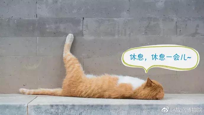 故宫的猫去世了吗,故宫的猫怎么去世的