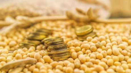 20升大豆油现在多少钱一斤,大豆油每斤的成本有多少