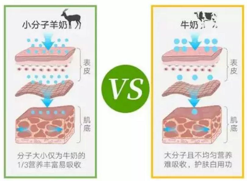 冰岛补水美白面膜,波兰面膜