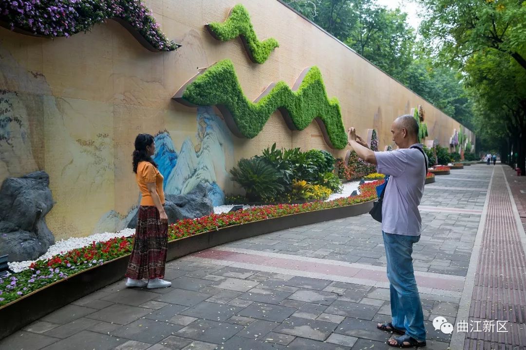 西安网红花墙美景,西安港风拍照圣地