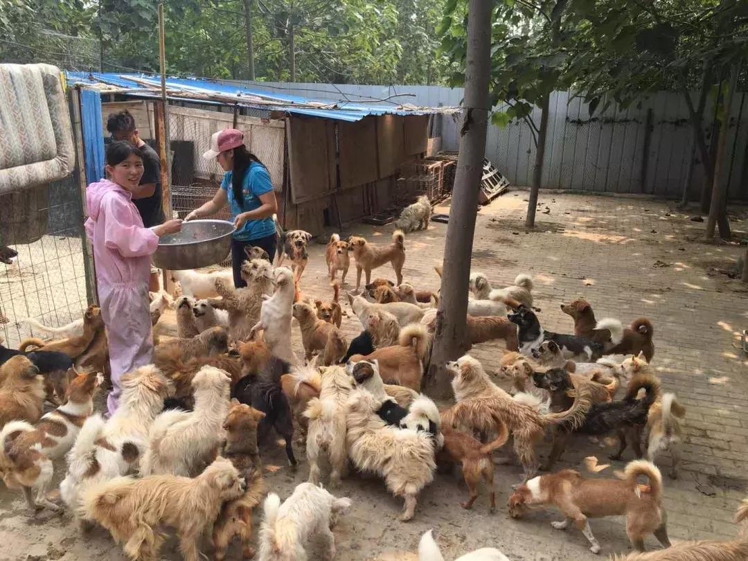 河南周口丢孩子的事件最新消息,河南杀人抢婴儿事件