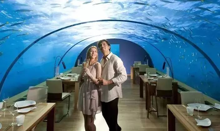 马代的正确打开方式,了解马说作者韩愈