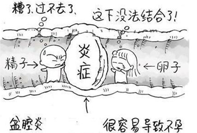 为什么有些女性怀不了孕,为什么好多女性不孕