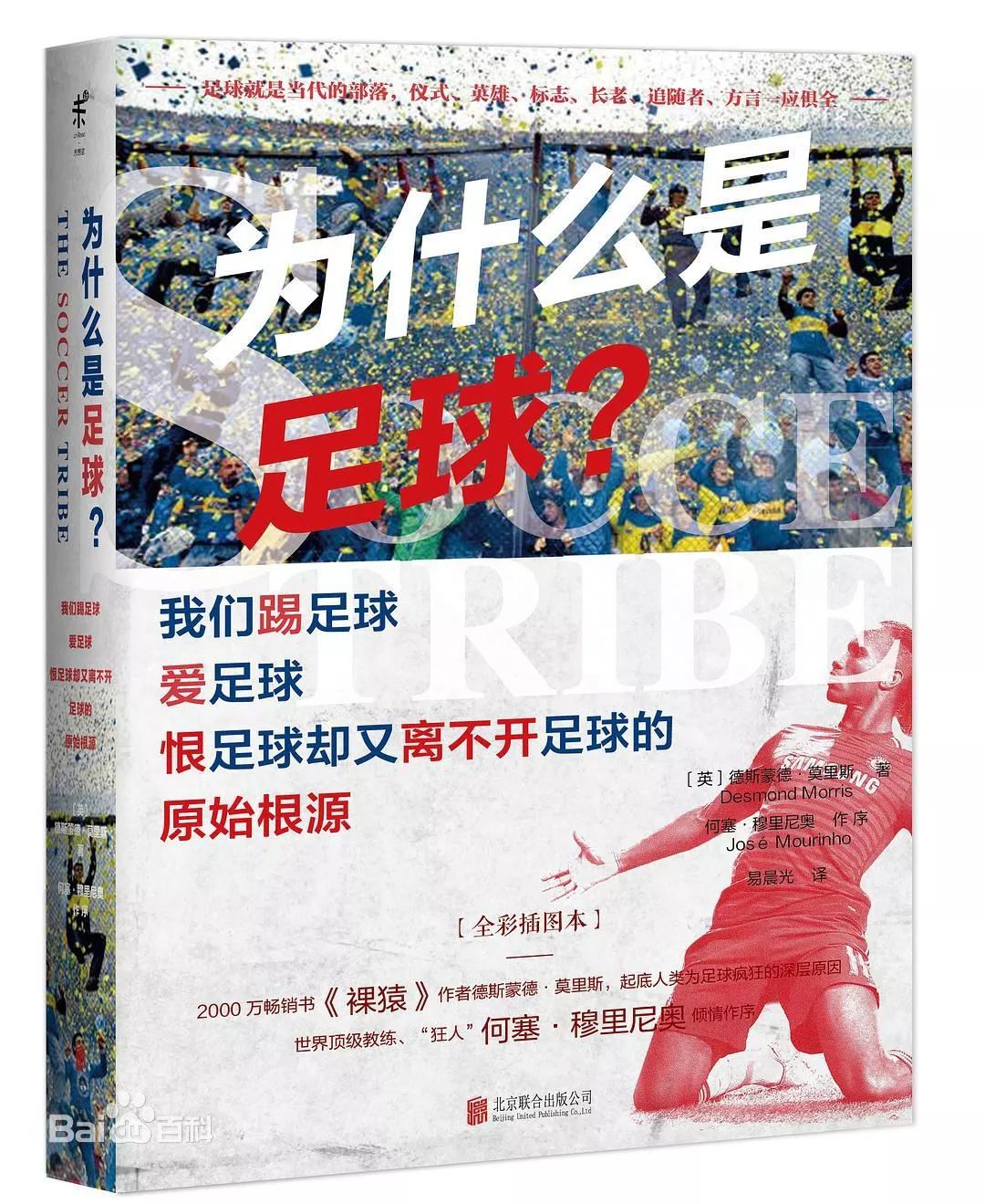 你不知道的世界杯,有趣的世界杯知识