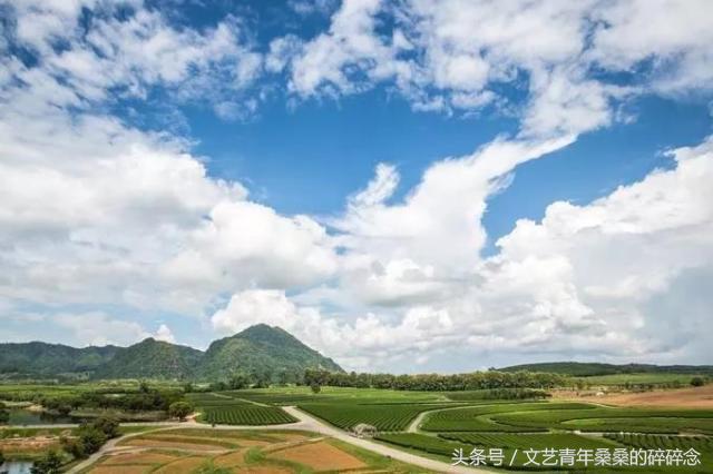 泰国清莱，此生不留遗憾的蜜月之“甜”！