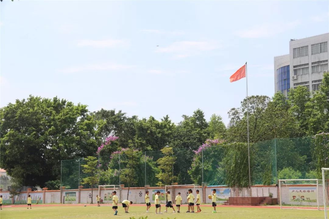 快来pick！一起助力佛山这条村冲击“2018中国最美村镇”！