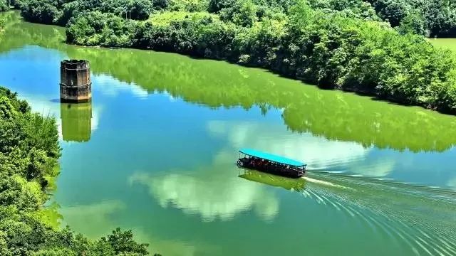 盘点梅西在足球场上,足坛里的梅西视频