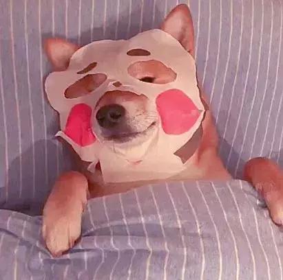 日本药妆30款有口碑的好物，行李箱塞爆也要买！