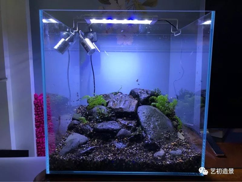 虾虎缸造景要什么过滤器,虾虎缸用什么石头造景好