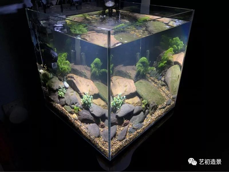 虾虎缸造景要什么过滤器,虾虎缸用什么石头造景好